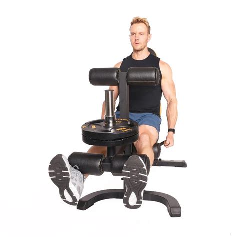 Leg Lift Exercise Machine 的图像结果