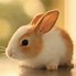 Image result for Real Happy Bunny Cute