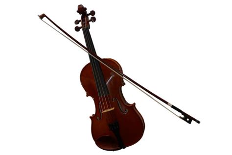 String Instrument 的图像结果