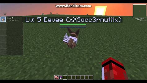 Pixelmon Mod Tutorial 的图像结果