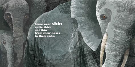 Feathers and Hair, What Animals Wear | Book by Jennifer Ward, Jing Jing ...