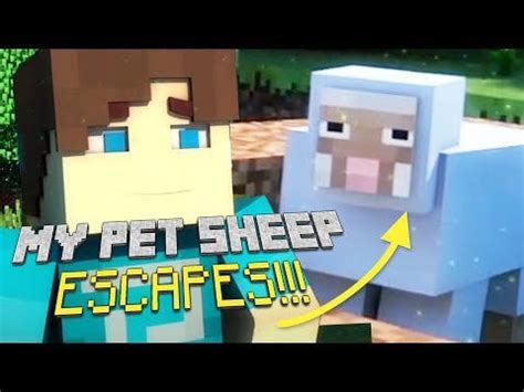 Image result for Minecraft Animation Basics