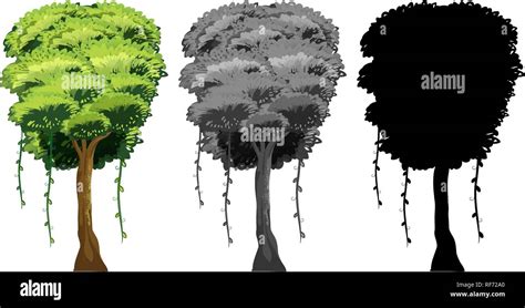 Image result for Tree for InDesign