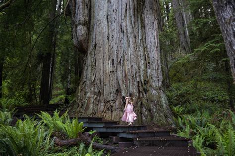 Top 5 Scenic California Roadtrips - Asya Olson Travel Photography