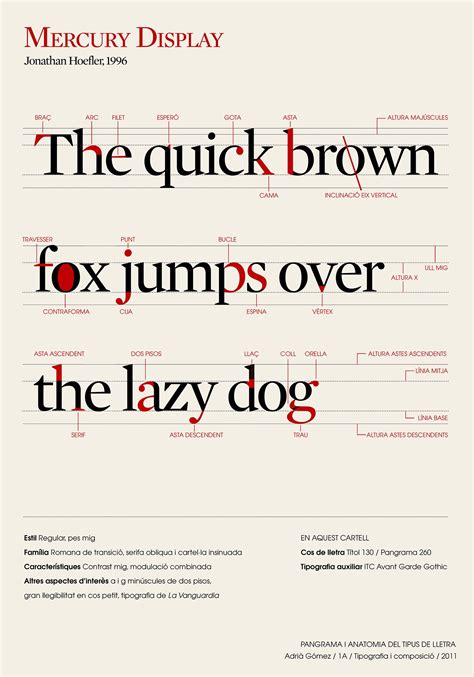 Type Anatomy on Behance | Type anatomy, Typography book layout, Typography book
