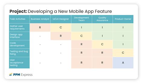 Image result for Software Development Outsource Raci