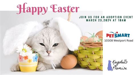 Hoppity Easter Adoption Event, PetSmart (Louisville, KY), Anchorage, 23 ...