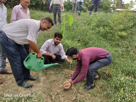 INDUS Institute of Management & Technology