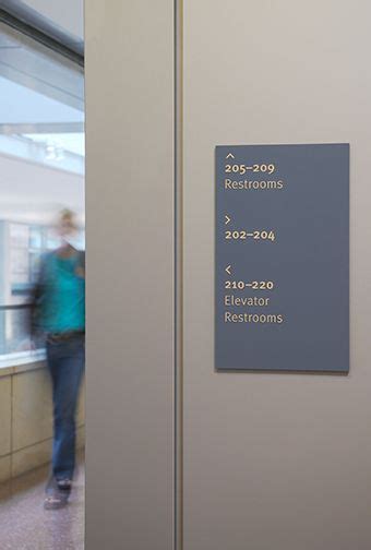 Environment Graphics 的图像结果