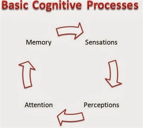 Cognitive Process 的图像结果
