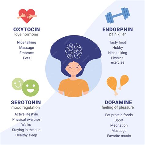 Premium Vector | Scheme of happiness hormones oxytocin serotonin dopamine endorphin Brain ...