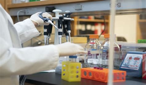 Image result for Lab Rate