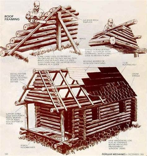 Log Cabin Building Process 的图像结果