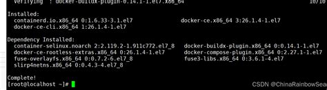 Linux 19C Docker Image 的图像结果