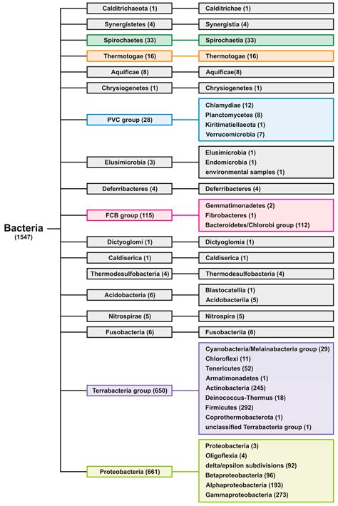 The Presence and Localization of G-Quadruplex Forming Sequences in the ...