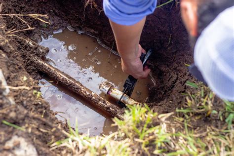 Sprinkler Repair
