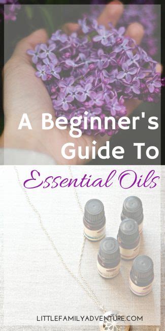 Image result for Essential Oil Tutorial
