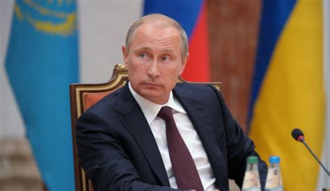 普京称乌克兰停火条件属乌内政 俄方只能促进|乌克兰局势|乌克兰停火条件_新浪新闻