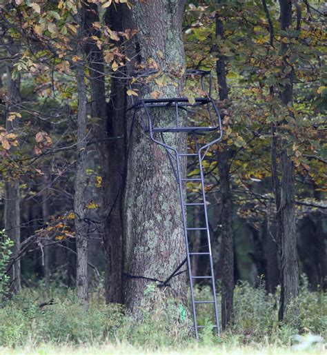 Image result for Portable Ladder Tree Stands