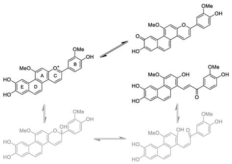 Characterization of a Natural, Stable, Reversible and Colourful ...