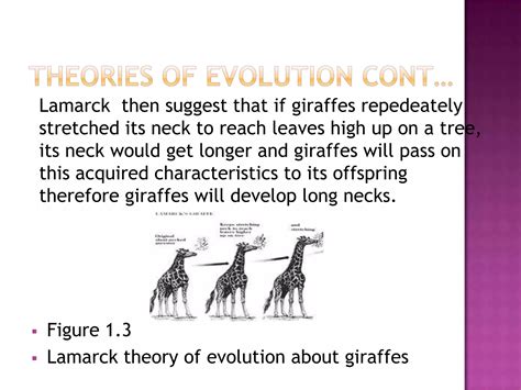 Define Evolution 的图像结果