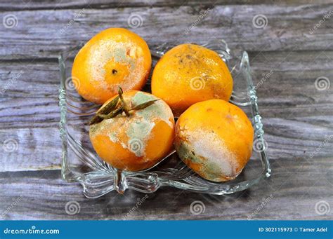 Mandarin Orange with Mold, Mould is One of the Structures that Certain ...