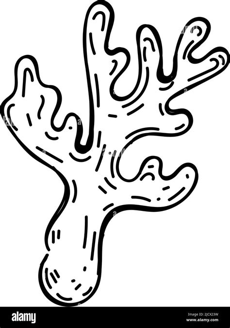 Image result for Coral Reef Drawing Simple