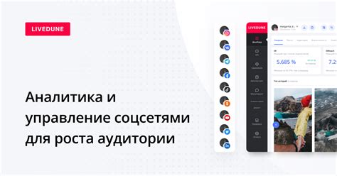 LiveDune – статистика профиля по своим и чужим аккаунтам ВК, Инстаграм ...