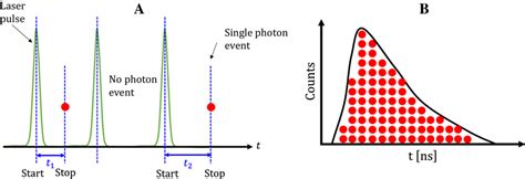 TCSPC Spectroscopy 的图像结果