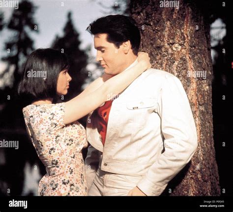 Original Film Title: KISSIN' COUSINS. English Title: KISSIN' COUSINS ...