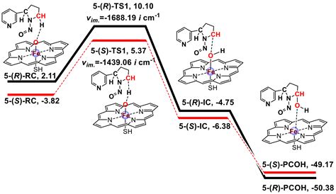 Metabolic Activation and Carcinogenesis of Tobacco-Specific Nitrosamine ...