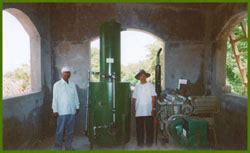 Biogas plant, Biogas power, biogas generator, Dung management Biogas ...