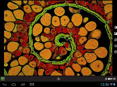 Image result for ToupView Tutorial