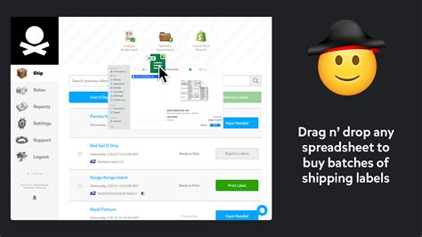 Image result for Pirate Shipping.com