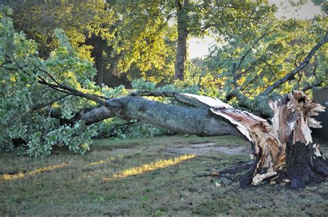 Severe storm serves as reminder for emergency planning, preparedness ...
