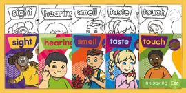Five Special Senses - What Are The Five Senses - Twinkl