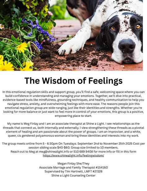 FeelingWisdom | Shine a Light Counseling Center