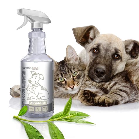 Pet Stain Enzyme Cleaner and Odor Eliminator - 32oz Spray Dog Urine ...