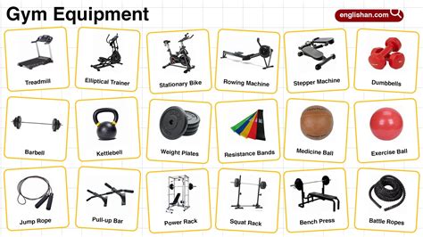 Gym Equipment 的图像结果