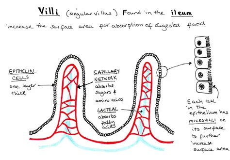 Image result for Visual Spatial Examples