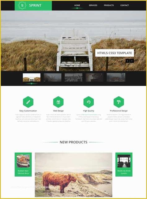 Image result for HTML Website Template