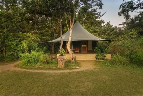 Luxury Safari Tents at Pench Jungle Camp l Pench Tiger Reserve