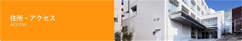 Image result for Celtix Script Example