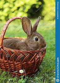 Image result for Fluffy Easter Basket