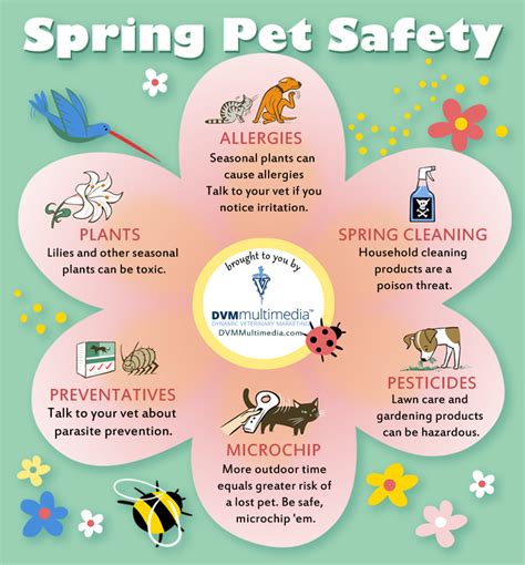 Image result for Spring Safety Tips