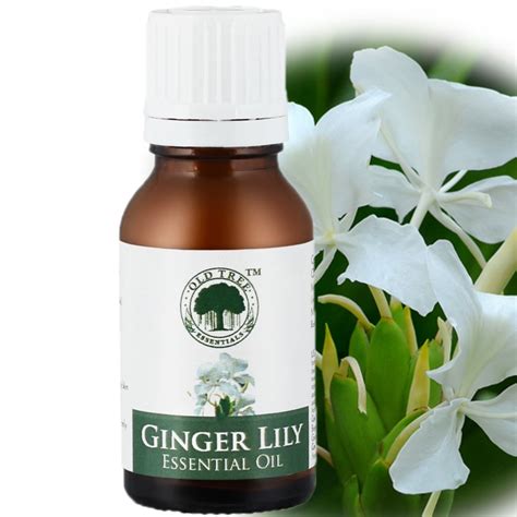 Buy Ginger Lily Essential Oil For Skin, Hair and Acne Care Online at ...