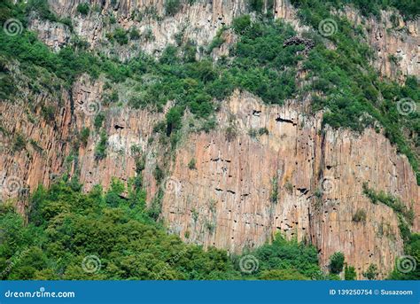 Steep Rock Wall with Trees Vegetated Stock Photo - Image of overgrown ...