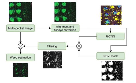 Multispectral Imaging Tutorial 的图像结果