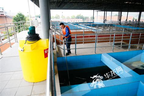 重庆自来水公司多个水厂将扩建 日供水能力提升_大渝网_腾讯网
