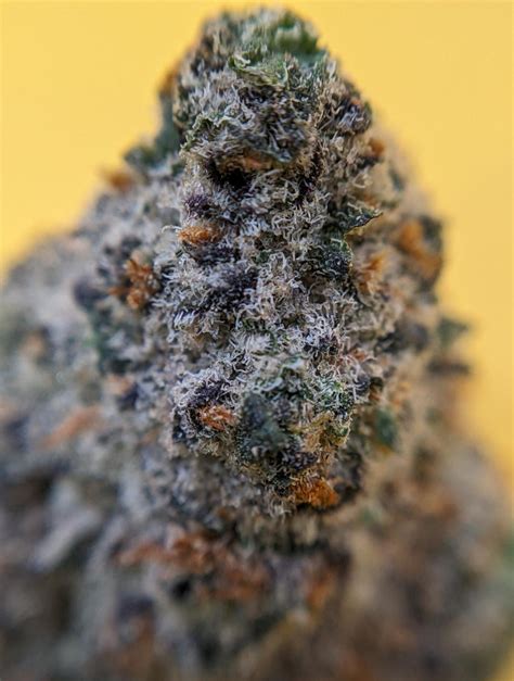 Under the Microscope- Klutch - Pineapple PZ : r/OhioMarijuana